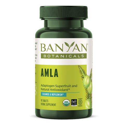 Amla  tablets (Organic Amla) 90 Tablets